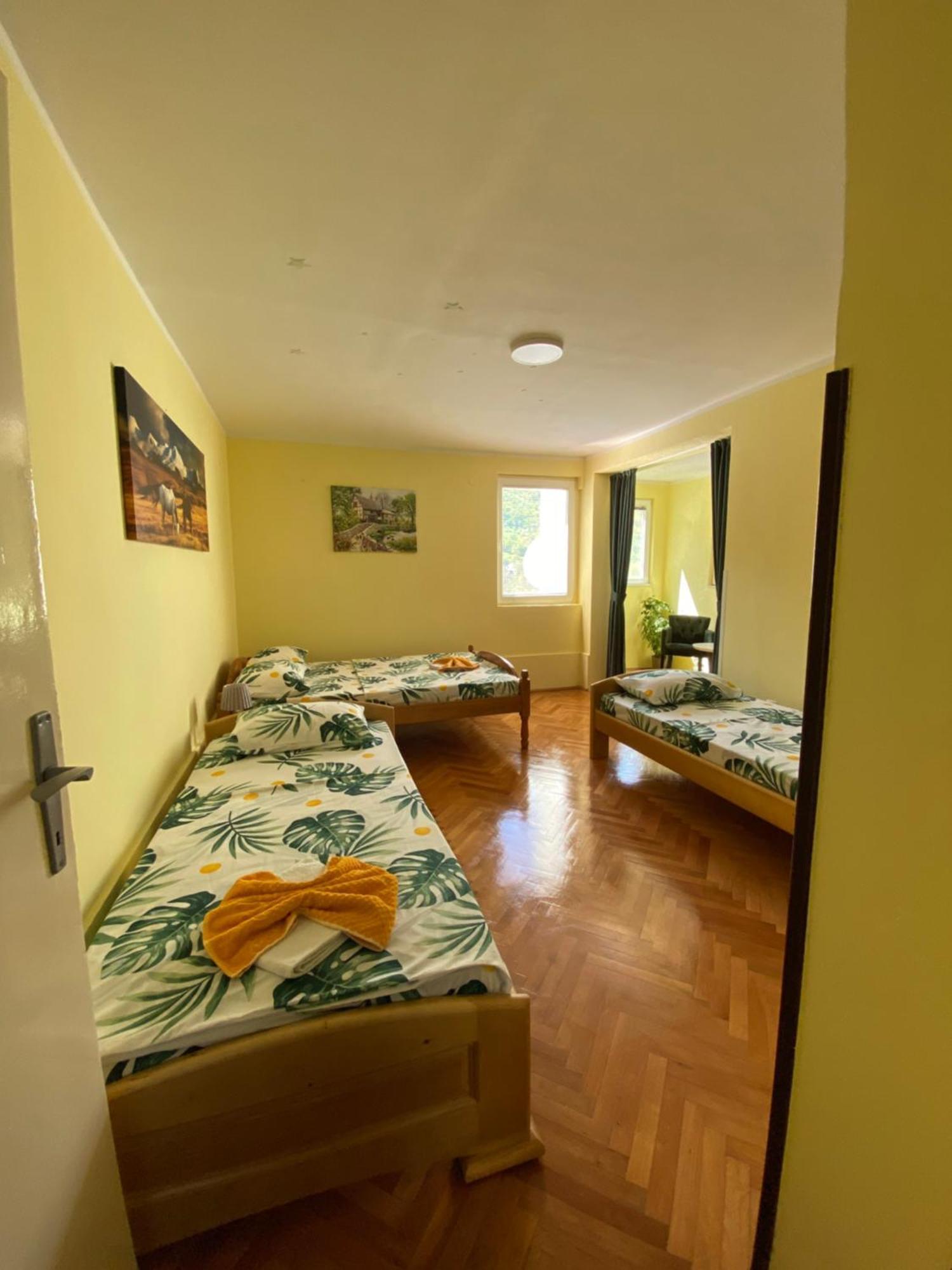 פלוזינה Apartman Sara מראה חיצוני תמונה